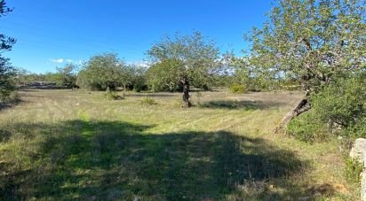 Farm land in São Brás de Alportel of 7,100 m²