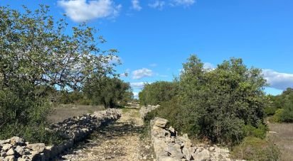 Terrain agricole à São Brás de Alportel de 7 100 m²