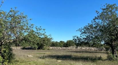 Farm land in São Brás de Alportel of 7,100 m²