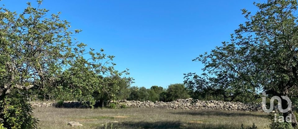 Terrain agricole à São Brás de Alportel de 7 100 m²