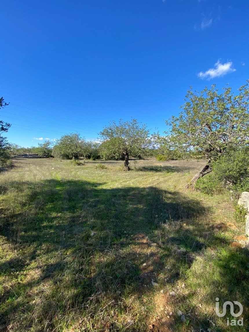 Terrain agricole à São Brás de Alportel de 7 100 m²