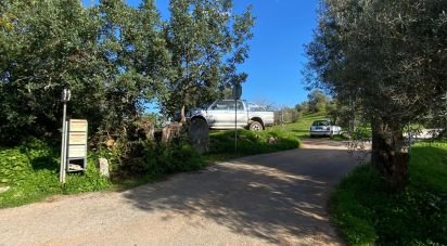Farm land in São Brás de Alportel of 7,280 m²