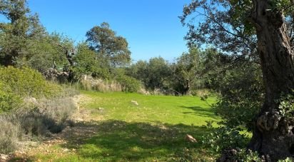 Farm land in São Brás de Alportel of 7,280 m²