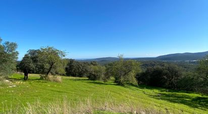 Terrain agricole à São Brás de Alportel de 7 280 m²