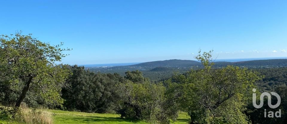 Terrain agricole à São Brás de Alportel de 7 280 m²