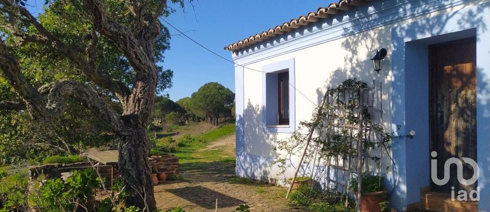 Quinta T3 em Bensafrim e Barão de São João de 137 m²