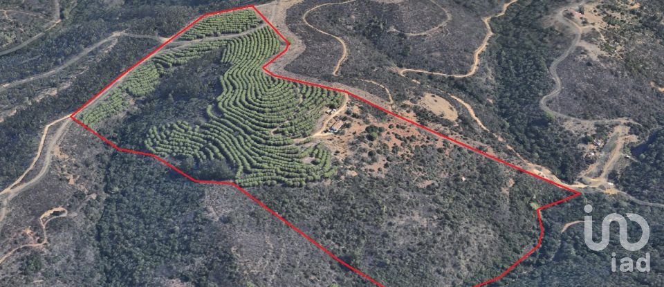 Quinta T3 em Bensafrim e Barão de São João de 137 m²