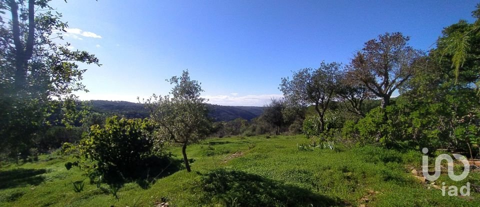 Quinta T3 em Bensafrim e Barão de São João de 137 m²