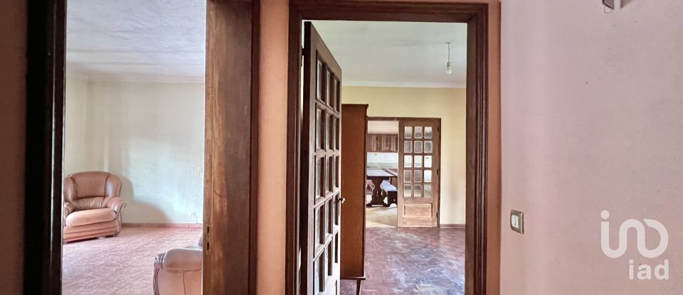 Maison traditionnelle T2 à Abrunhosa-a-Velha de 263 m²