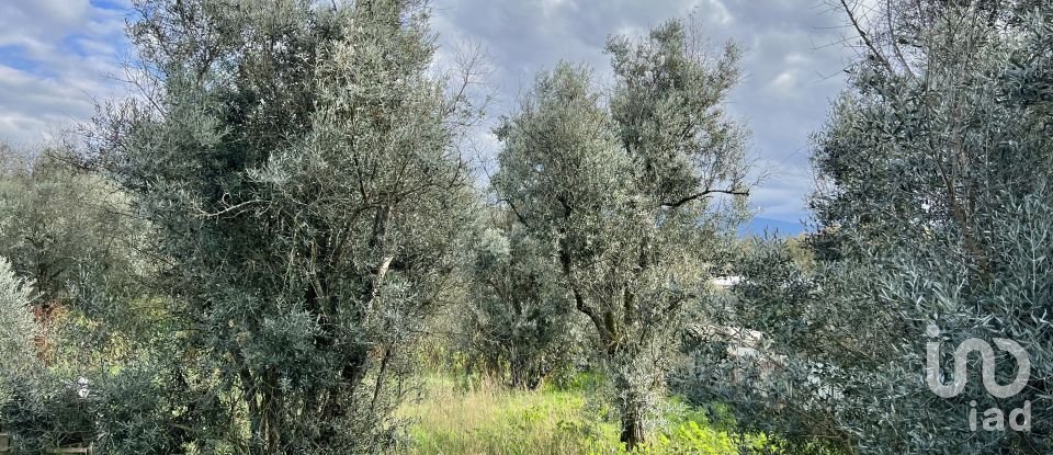 Maison traditionnelle T2 à Abrunhosa-a-Velha de 263 m²