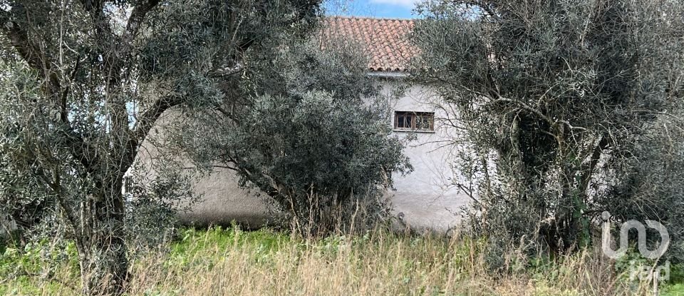 Maison traditionnelle T2 à Abrunhosa-a-Velha de 263 m²