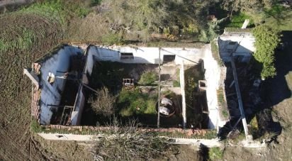 Terrain à São João da Ribeira e Ribeira de São João de 16 160 m²