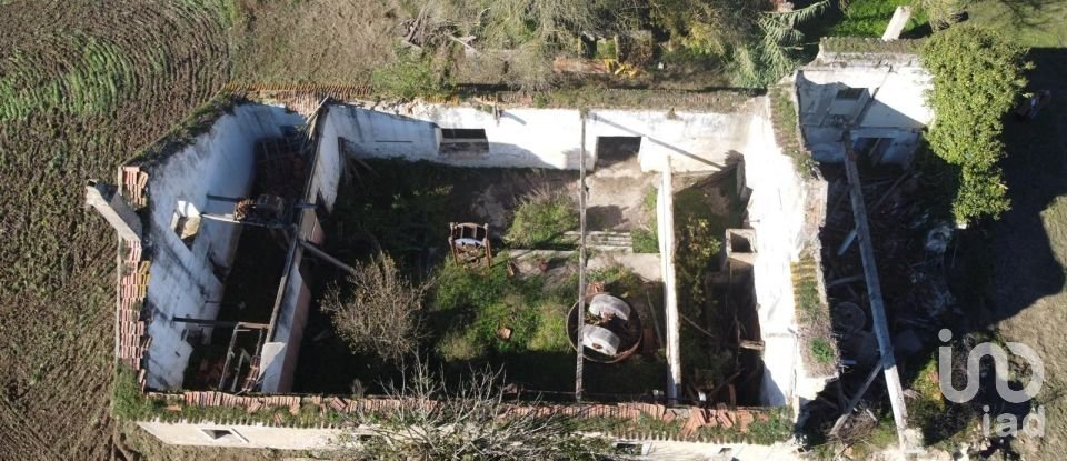 Land in São João da Ribeira e Ribeira de São João of 16,160 m²