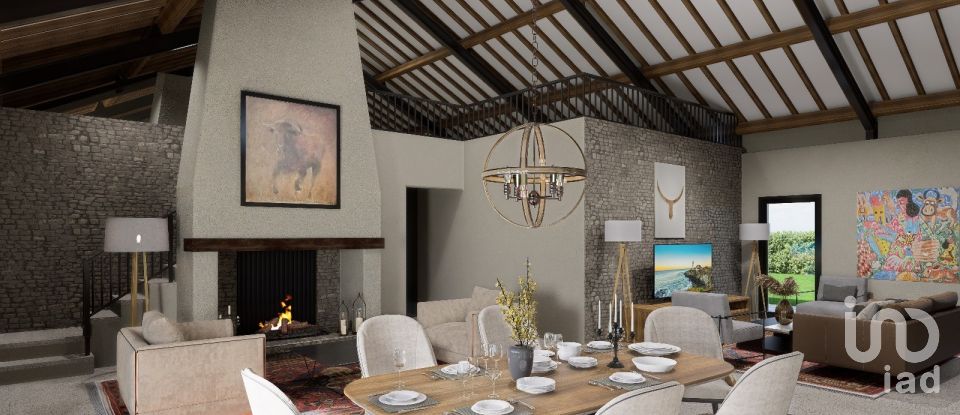 Land in São João da Ribeira e Ribeira de São João of 16,160 m²