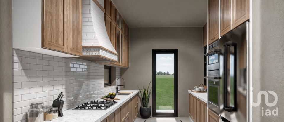 Land in São João da Ribeira e Ribeira de São João of 16,160 m²