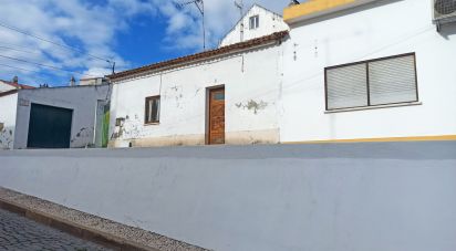 Gîte T1 à Coruche, Fajarda e Erra de 52 m²