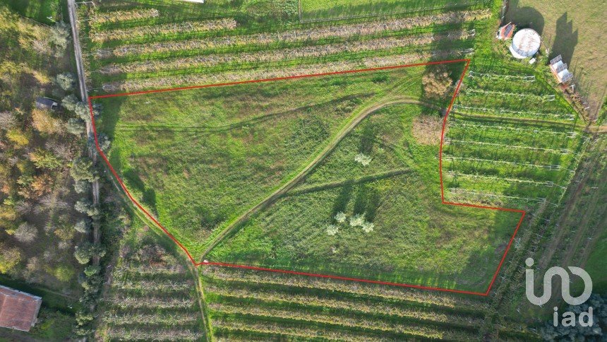 Terreno urbano em Sangalhos de 6 072 m²