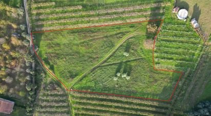 Terrain à bâtir à Sangalhos de 6 072 m²