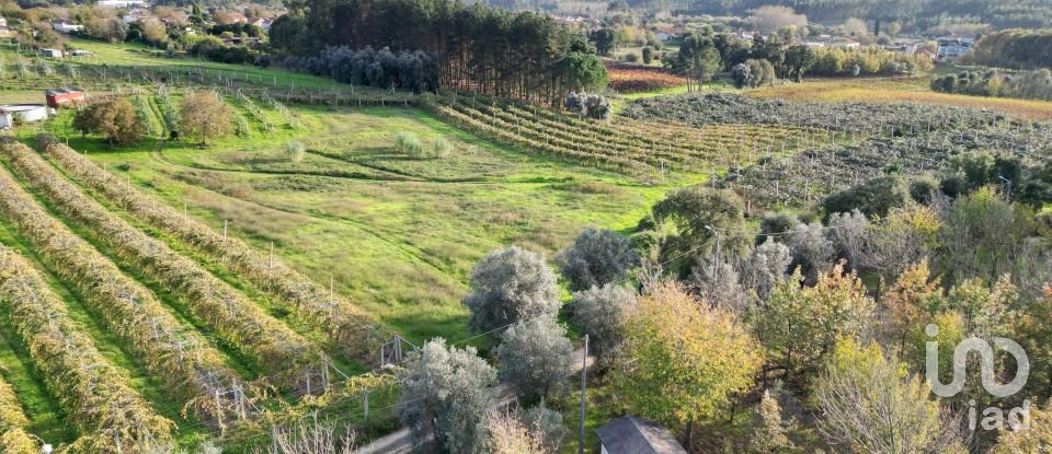 Terreno urbano em Sangalhos de 6 072 m²