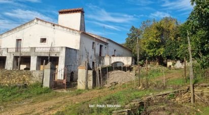 Ferme T4 à Alegrete de 230 m²