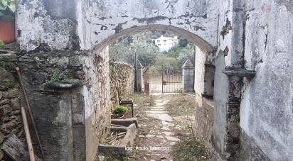 Ferme T4 à Alegrete de 230 m²