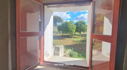 Ferme T4 à Alegrete de 230 m²