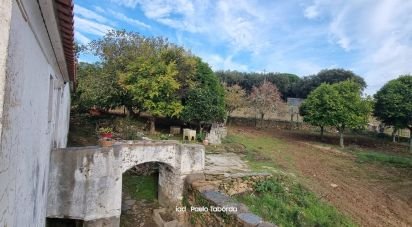 Ferme T4 à Alegrete de 230 m²