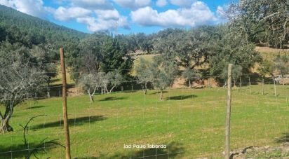 Ferme T4 à Alegrete de 230 m²