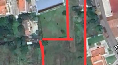 Land in Alvarães of 2,000 m²