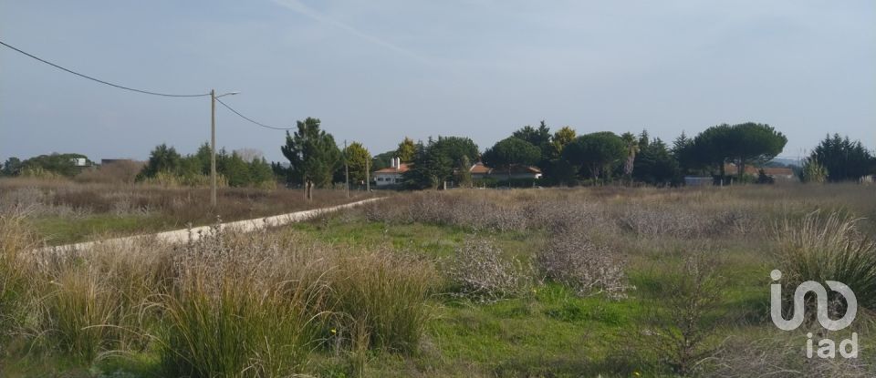 Land in Alhos Vedros of 5,000 m²