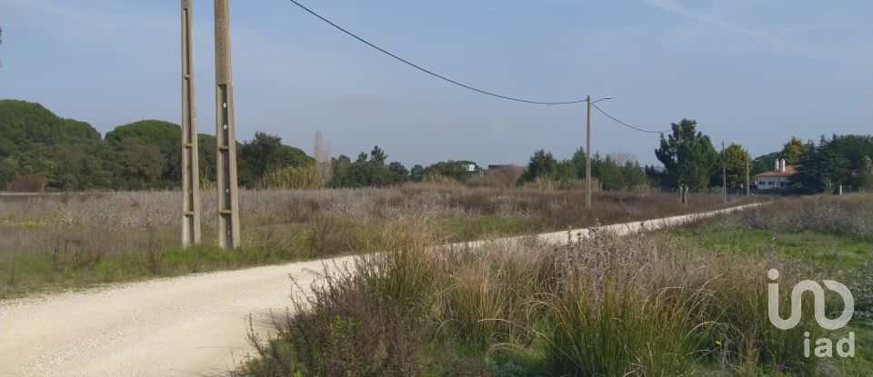 Land in Alhos Vedros of 5,000 m²