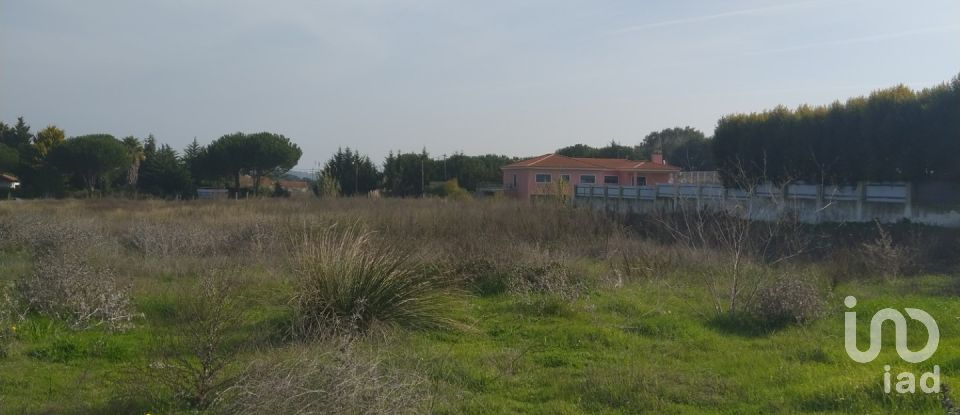 Land in Alhos Vedros of 5,000 m²