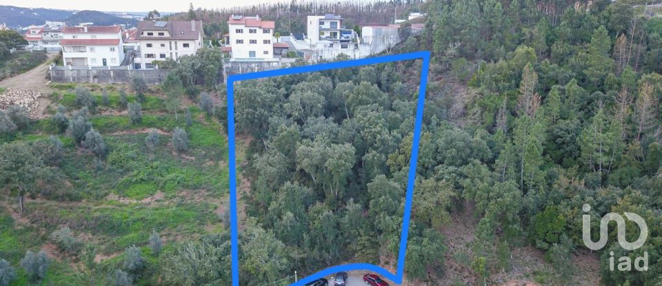 Land in Ceira of 2,345 m²