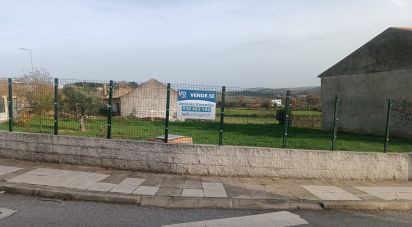 Terrain à bâtir à Mogadouro, Valverde, Vale de Porco e Vilar de Rei de 750 m²