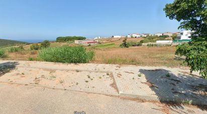 Terrain à Lourinhã e Atalaia de 3 960 m²