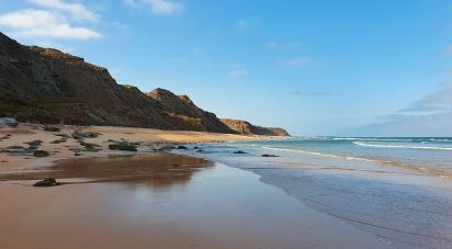 Terrain à Lourinhã e Atalaia de 3 960 m²