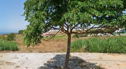 Terrain à Lourinhã e Atalaia de 3 960 m²