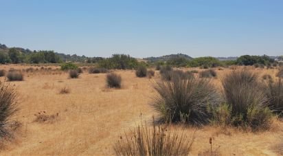 Terrain à Algoz e Tunes de 12 720 m²