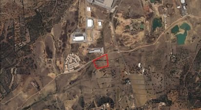 Terrain à Algoz e Tunes de 12 720 m²