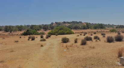 Terrain à Algoz e Tunes de 12 720 m²