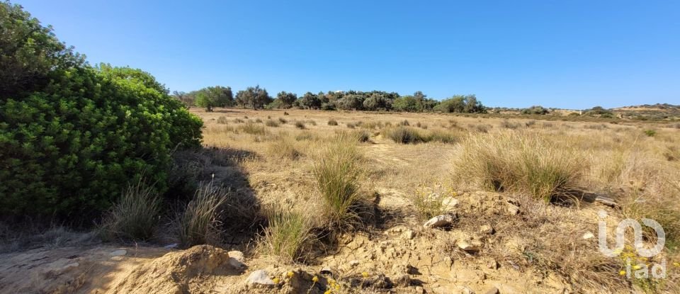 Land in Algoz e Tunes of 12,720 m²
