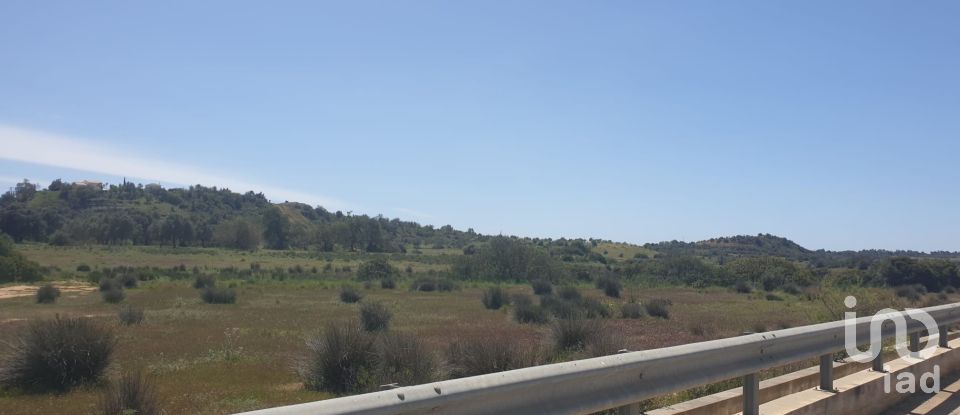 Land in Algoz e Tunes of 12,720 m²