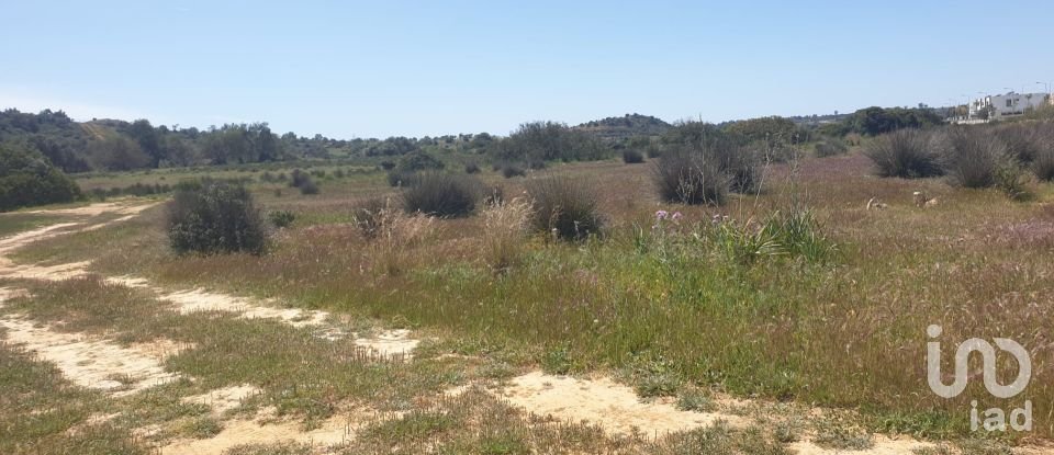 Land in Algoz e Tunes of 12,720 m²