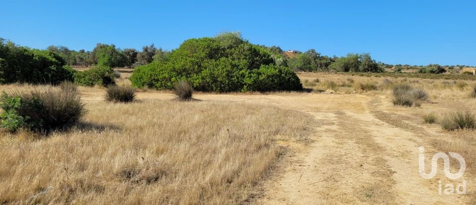 Land in Algoz e Tunes of 12,720 m²