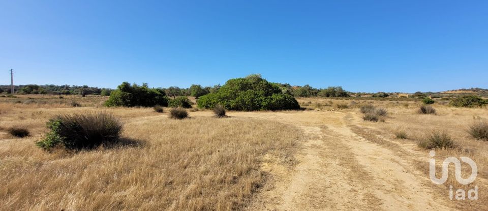 Land in Algoz e Tunes of 12,720 m²