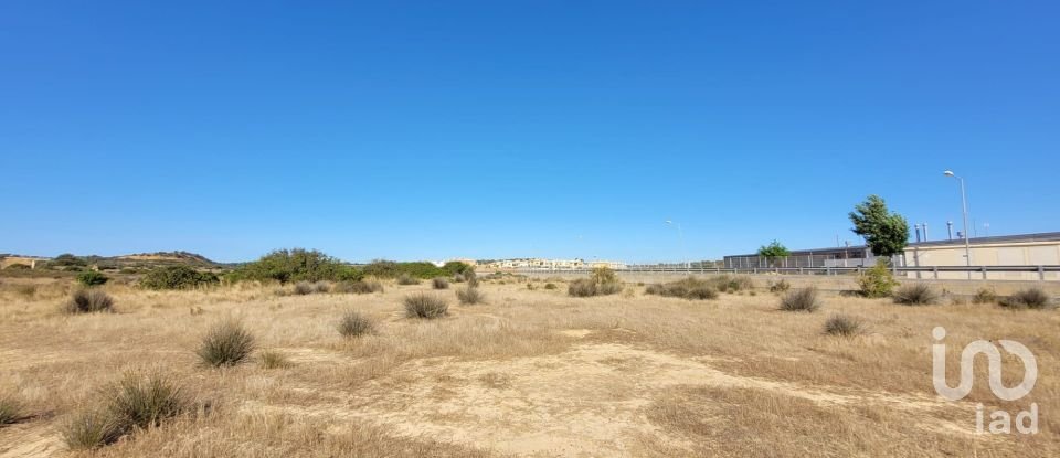 Land in Algoz e Tunes of 12,720 m²