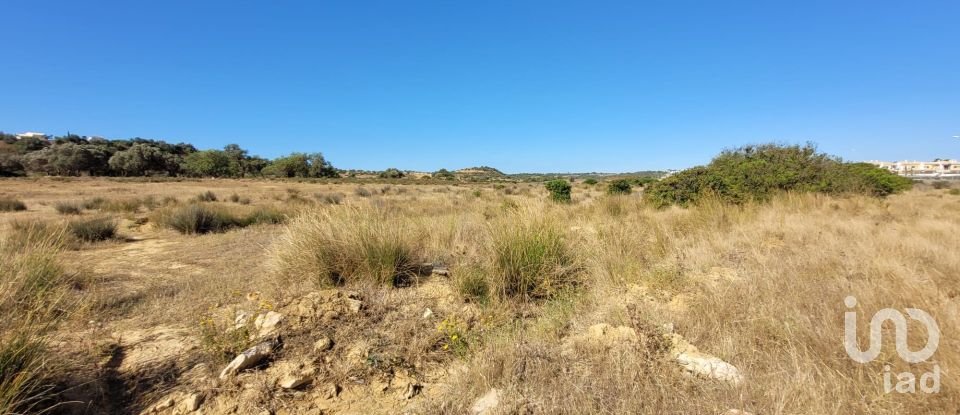 Land in Algoz e Tunes of 12,720 m²