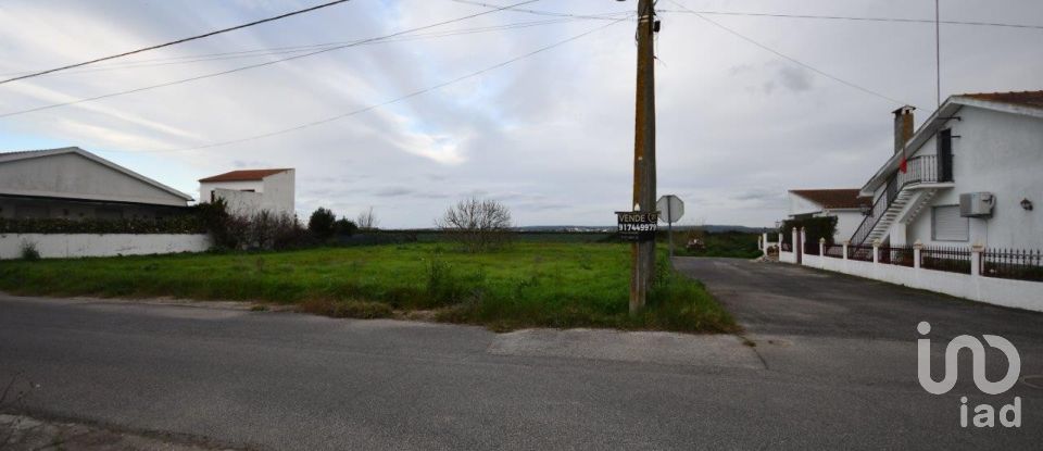 Land in Azinhaga of 375 m²