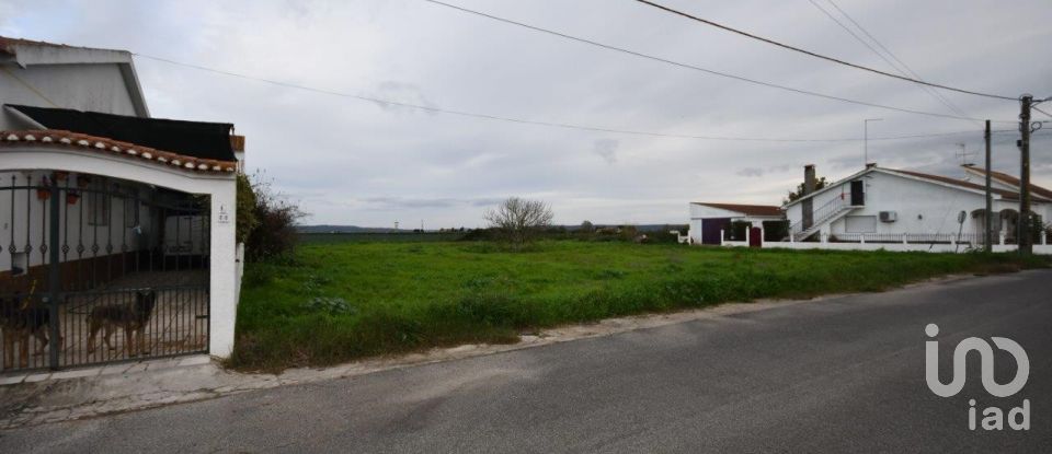 Land in Azinhaga of 375 m²