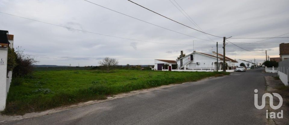 Land in Azinhaga of 375 m²